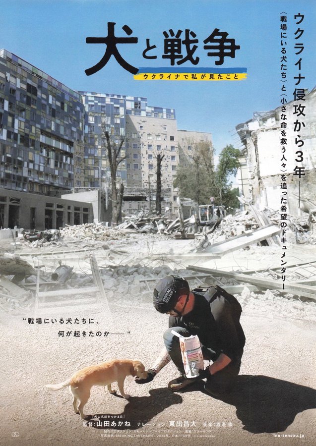 犬と戦争 ウクライナで私が見たこと (2025) original Japanese theatrical chirashi flyer