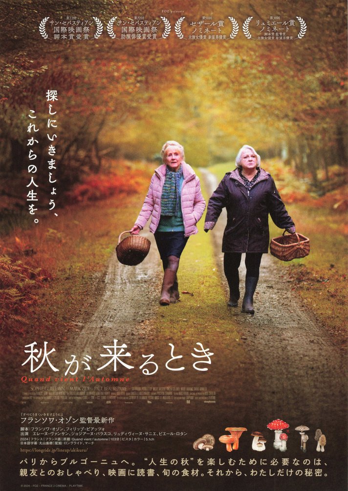 When Fall Is Coming (2024) original Japanese theatrical chirashi flyer