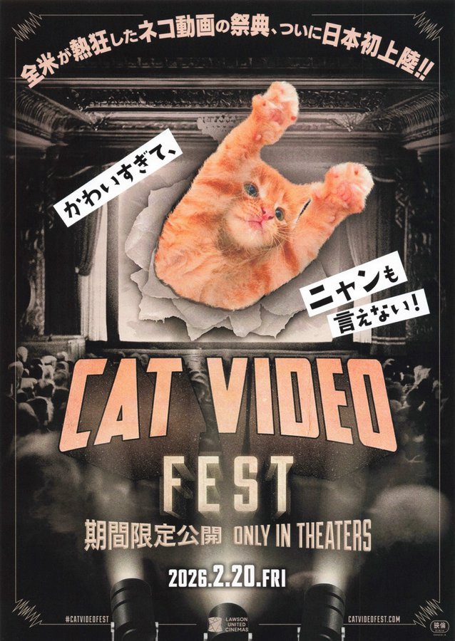CAT VIDEO FEST 期間限定公開　ONLY IN THEATERS (2026) original Japanese theatrical chirashi flyer