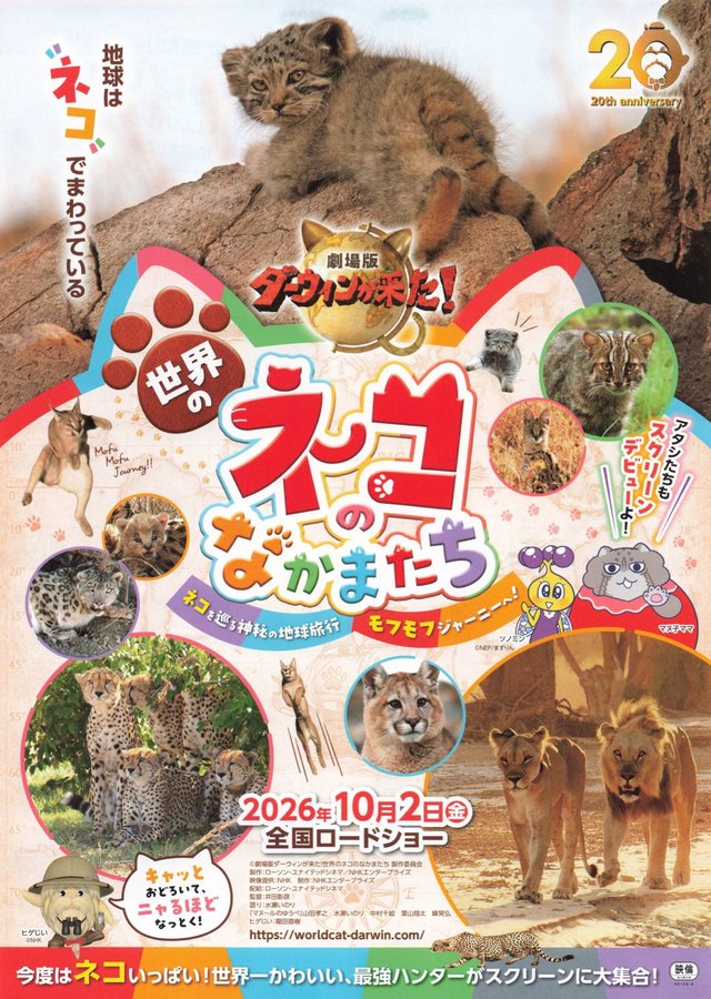 劇場版ダーウィンが来た！　世界のネコのなかまたち (2026) original Japanese theatrical chirashi flyer