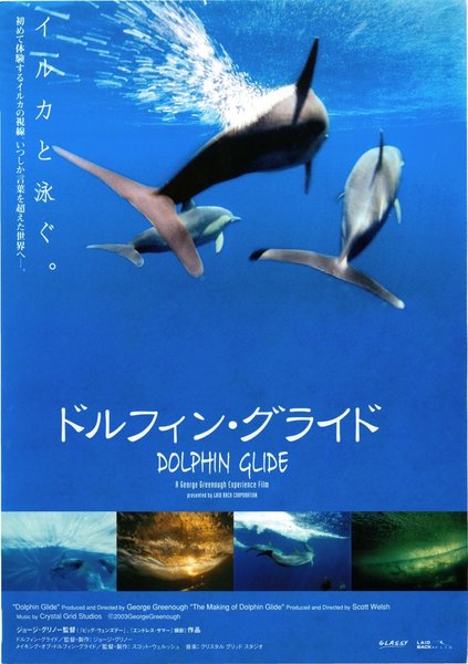 DOLPHIN GLIDE (2005) original Japanese theatrical chirashi flyer