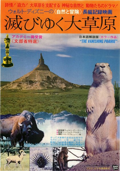 THE VANISHING PRAIRIE (1954) original Japanese theatrical chirashi flyer