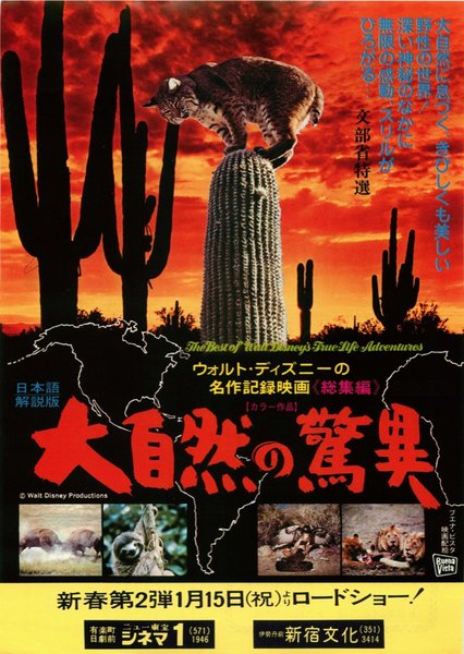 BEST OF WALT DISNEY'S LIFE OF ADVENTURES (1975) original Japanese theatrical chirashi flyer