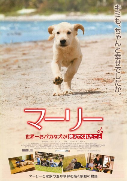 Marley & Me (2008) original Japanese theatrical chirashi flyer