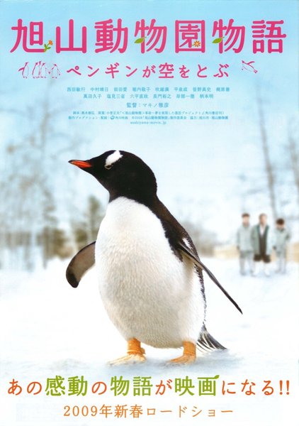 旭山動物園物語　ペンギンが空をとぶ (2009) original Japanese theatrical chirashi flyer