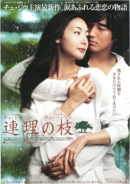 Now And Forever , Yeolliji (2006) original Japanese theatrical chirashi flyer