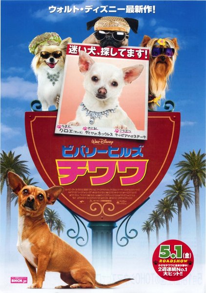 BEVERLY HILLS CHIHUAHUA (2008) original Japanese theatrical chirashi flyer