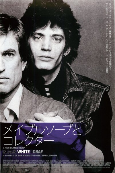 BLACK WHITE + GRAY: A PORTRAIT OF SAM WAGSTAFF AND ROBERT MAPPLETHORPE (2007) original Japanese theatrical chirashi flyer