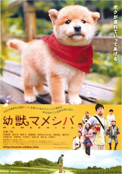 幼獣マメシバ (2009) original Japanese theatrical chirashi flyer