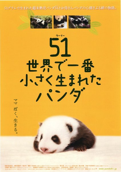 51(ウーイー) 世界で一番小さく生まれたパンダ (2012) original Japanese theatrical chirashi flyer