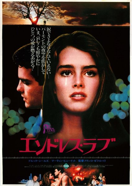 ENDLESS LOVE (1981) original Japanese theatrical chirashi flyer