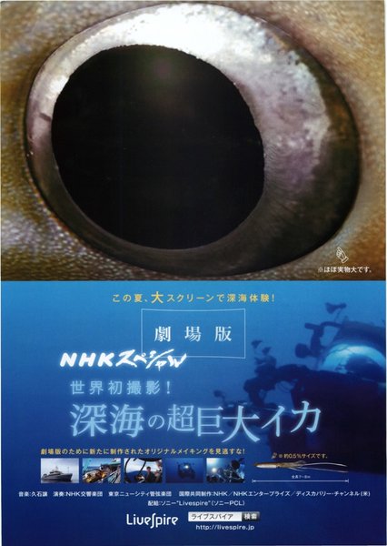 劇場版 NHKスペシャル 世界初撮影！深海の超巨大イカ (2013) original Japanese theatrical chirashi flyer