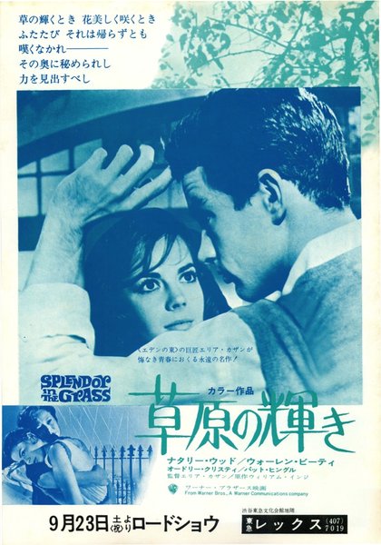 SPLENDOR IN THE GRASS (1961) original Japanese theatrical chirashi flyer