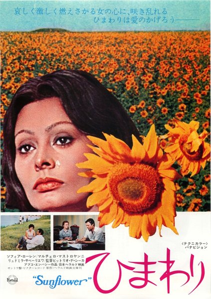 I girasoli (1970) original Japanese theatrical chirashi flyer