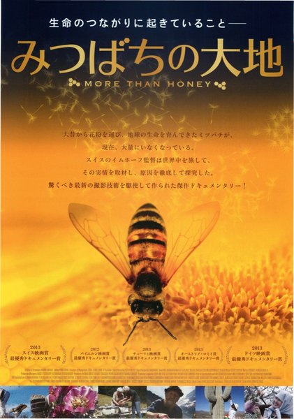 More Than Honey (2012) original Japanese theatrical chirashi flyer