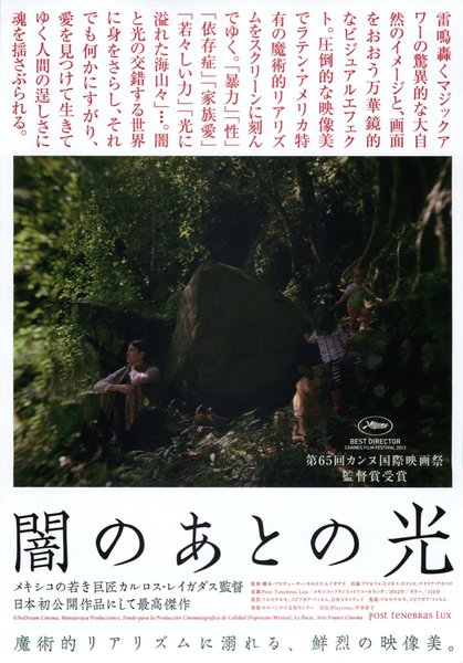 Post Tenebras Lux (2012) original Japanese theatrical chirashi flyer