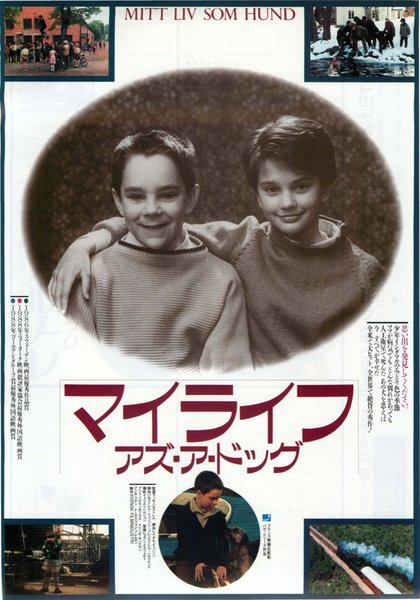 MITT LIV SOM HUND/MY LIFE AS A DOG (1985) original Japanese theatrical chirashi flyer
