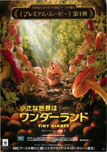 TINY GIANTS (2014) original Japanese theatrical chirashi flyer