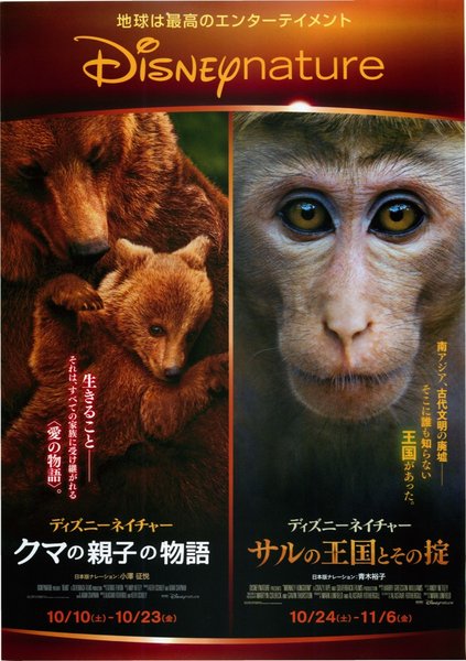 ディズニーネイチャー　クマの親子の物語,ディズニーネイチャー　サルの王国とその掟 (2015) original Japanese theatrical chirashi flyer