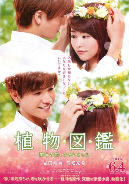 植物図鑑 運命の恋、ひろいました (2016) original Japanese theatrical chirashi flyer
